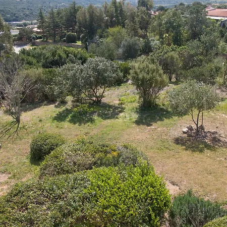 Immersa Nel Con Meravigliosa Vista Mare